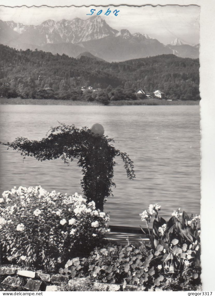 D5390) PÖRTSCHACH Am Wörthersee - Kärnten - Blumenpromenade Gegen Mittagskogel S/W - Pörtschach