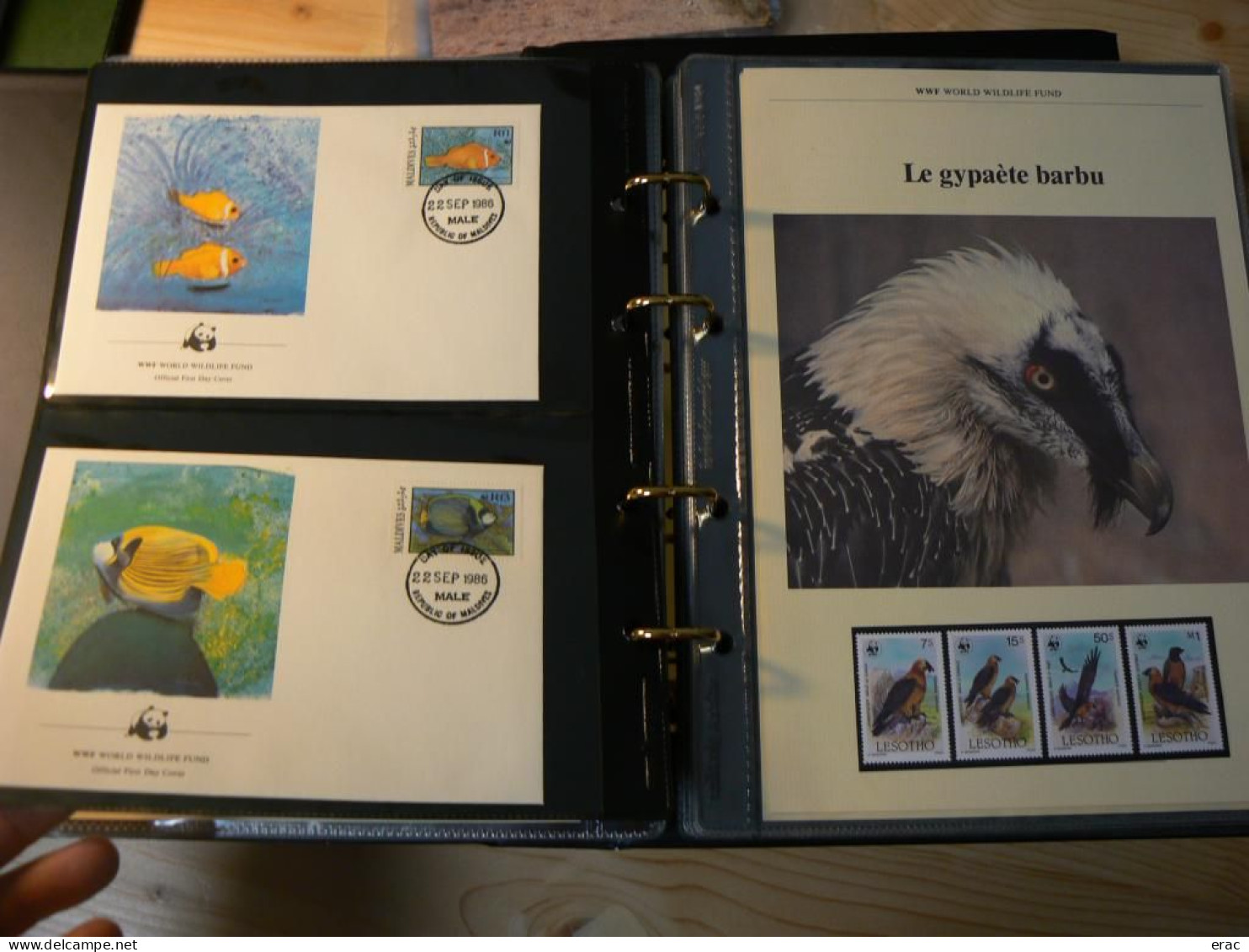 WWF - Lot de 2 albums avec boites - Années 1980/90 - Documents, FDC, CP, TP ** - Excellent état