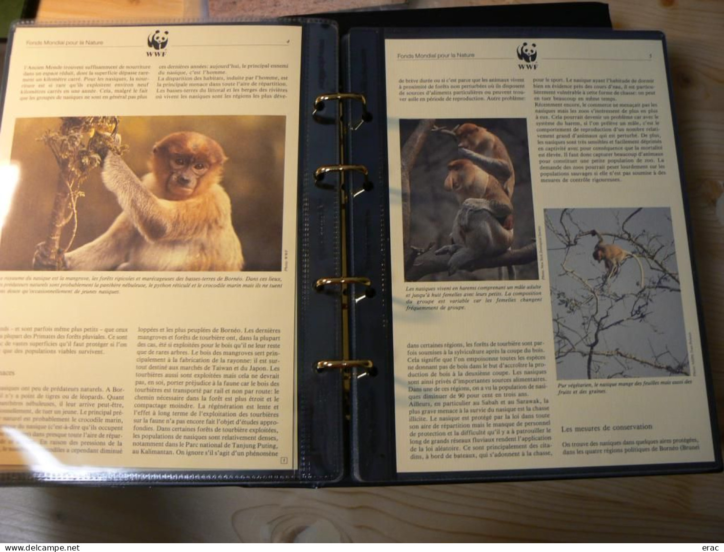 WWF - Lot de 2 albums avec boites - Années 1980/90 - Documents, FDC, CP, TP ** - Excellent état