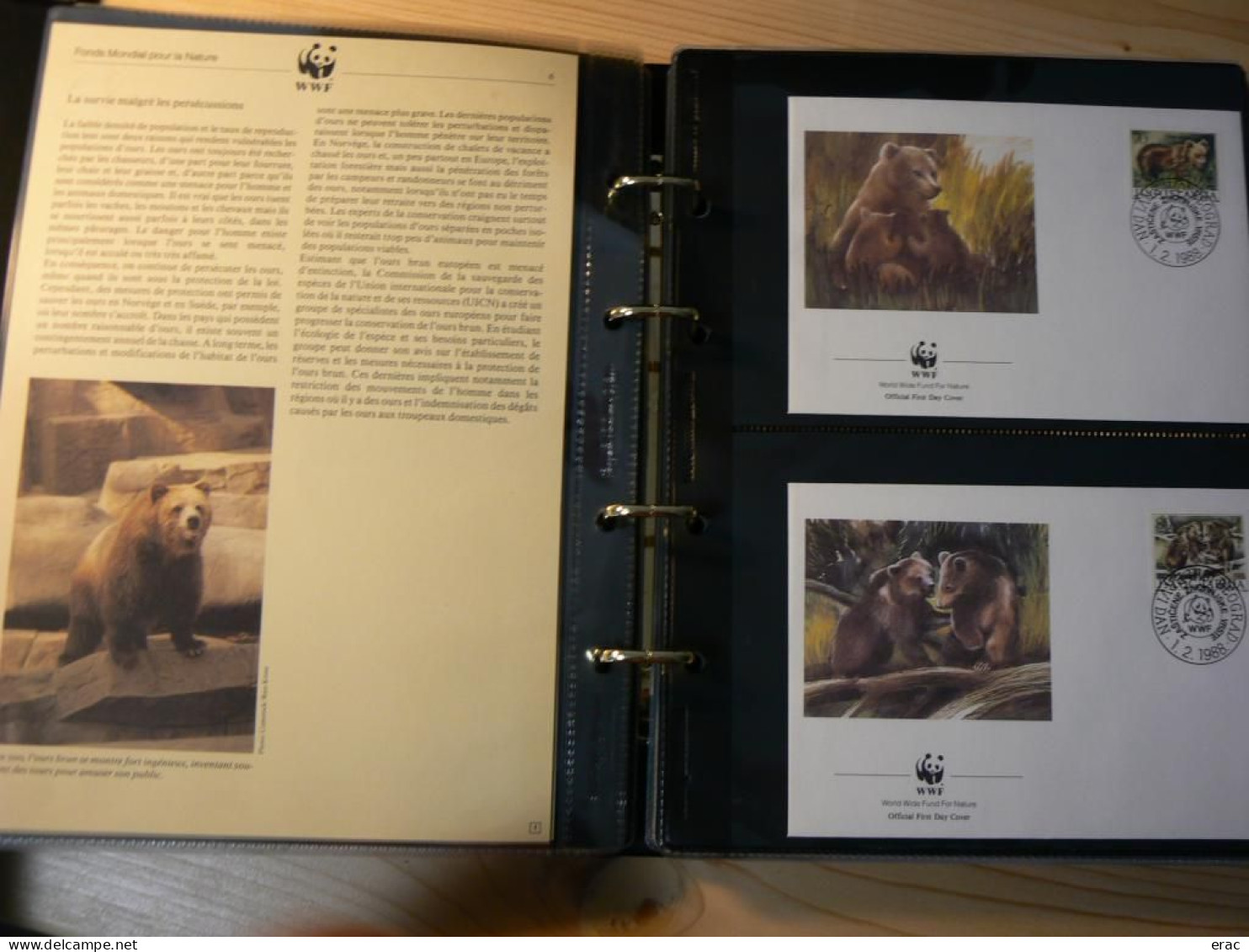 WWF - Lot de 2 albums avec boites - Années 1980/90 - Documents, FDC, CP, TP ** - Excellent état