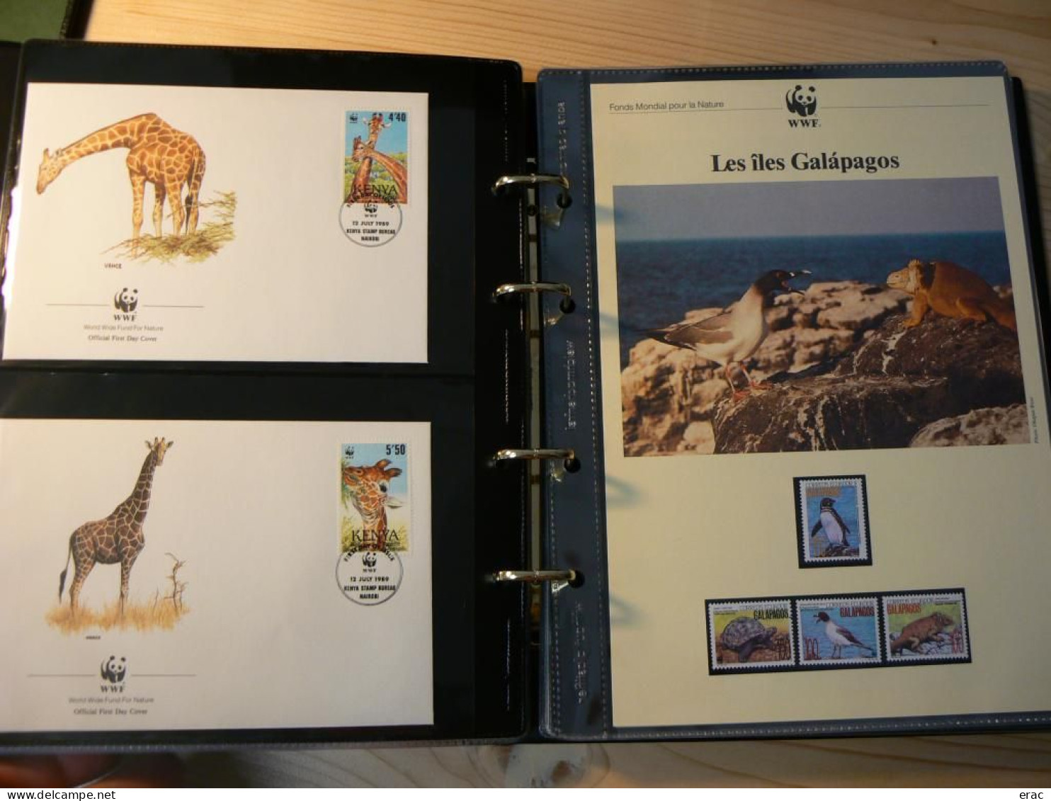 WWF - Lot de 2 albums avec boites - Années 1980/90 - Documents, FDC, CP, TP ** - Excellent état