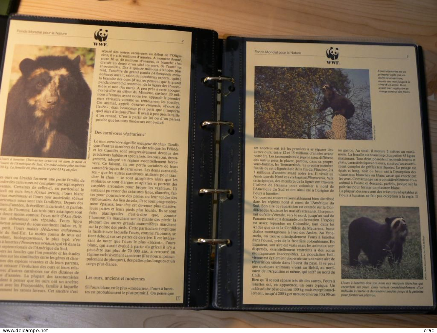 WWF - Lot de 2 albums avec boites - Années 1980/90 - Documents, FDC, CP, TP ** - Excellent état