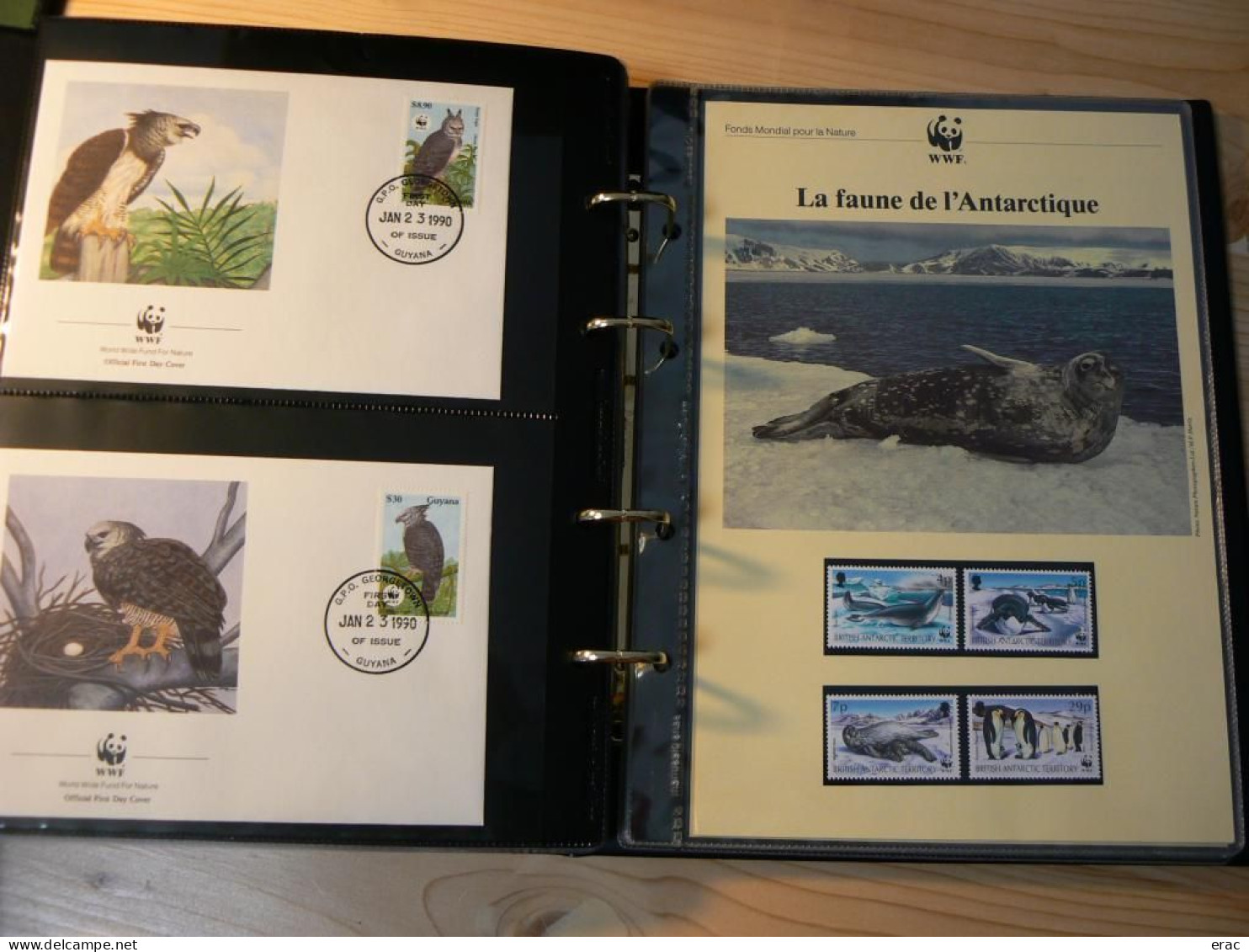 WWF - Lot de 2 albums avec boites - Années 1980/90 - Documents, FDC, CP, TP ** - Excellent état