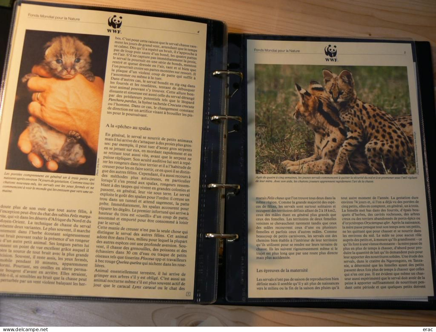 WWF - Lot de 2 albums avec boites - Années 1980/90 - Documents, FDC, CP, TP ** - Excellent état