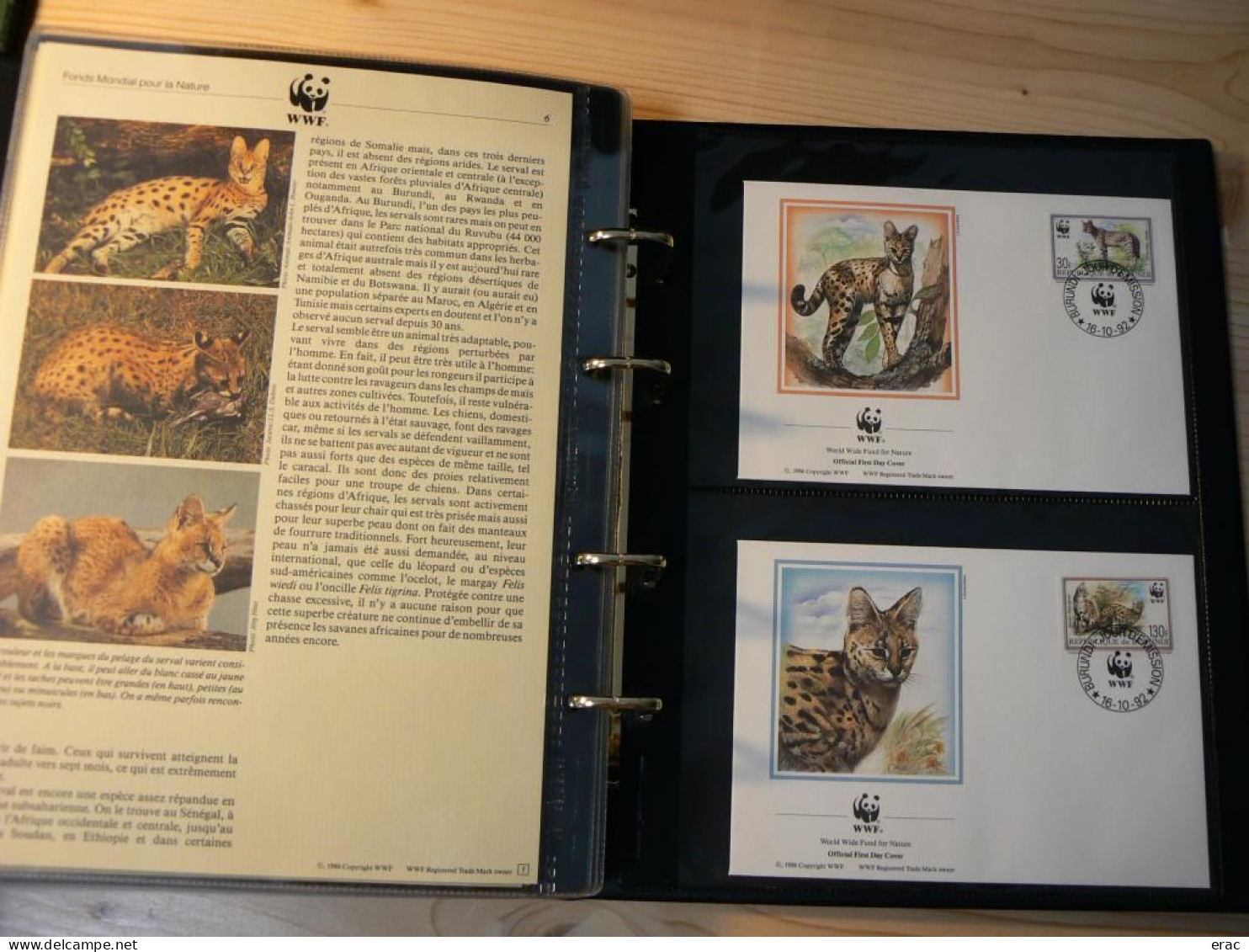 WWF - Lot de 2 albums avec boites - Années 1980/90 - Documents, FDC, CP, TP ** - Excellent état