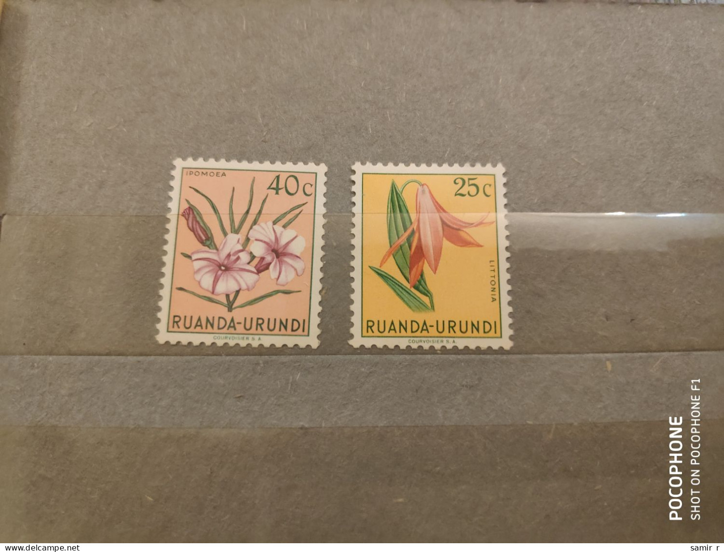 1953  Ruanda Urundi	Flowers (F42) - Nuovi