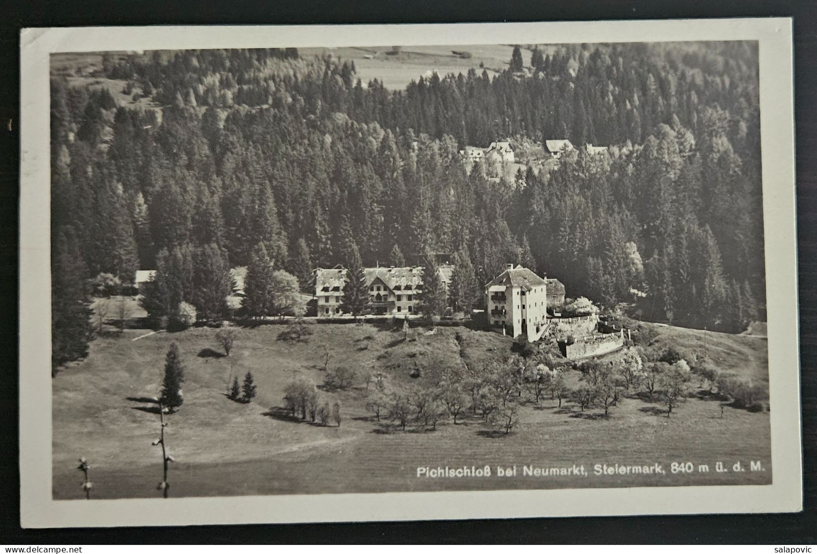 Austria, Neumarkt Pichlschloss 1930  R3/196 - Neumarkt