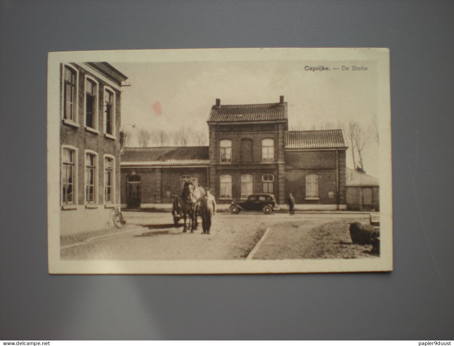 Kaprijke - Station - Gare - Railroad - Uitgever Steyaert - Kaprijke