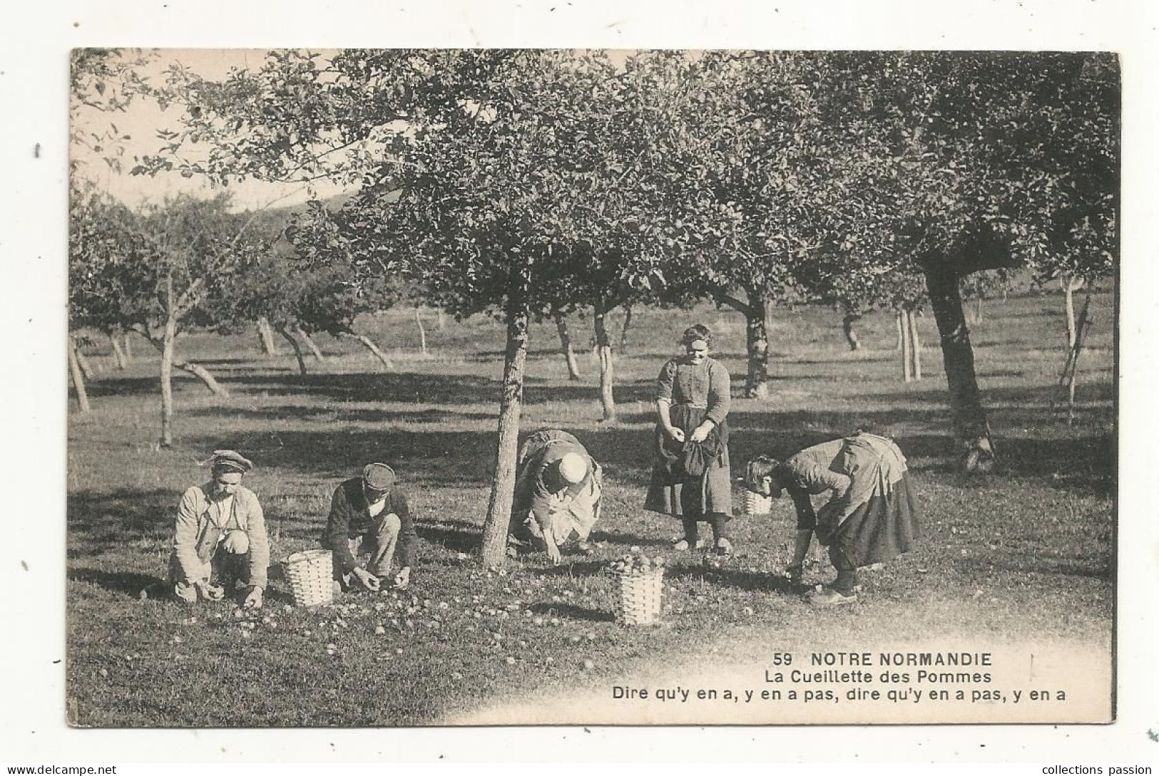 Cp, Agriculture, Culture, La Cueillette Des Pommes, Notre Normandie, Dire Qu'y En A, Yen A Pas, Dire Qu'y En A Pas.... - Landbouw