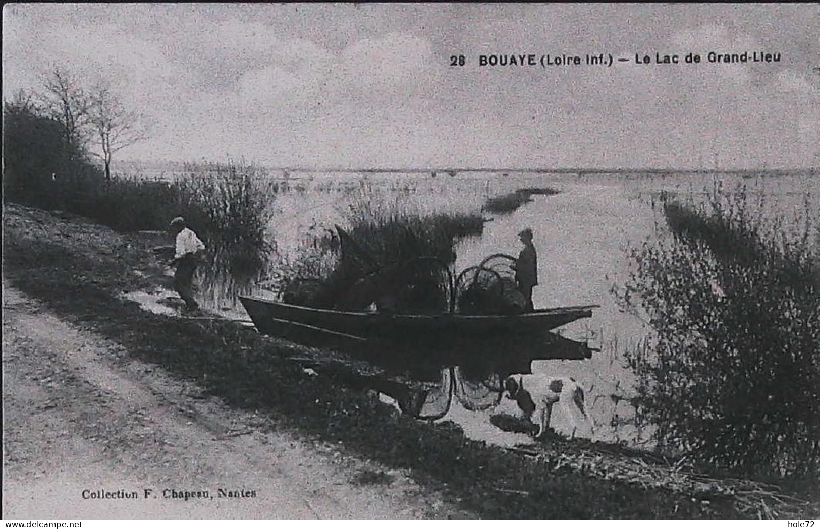 44 - Bouaye (Loire-Atlantique) - Le Lac Du Grand-Lieu - Bouaye