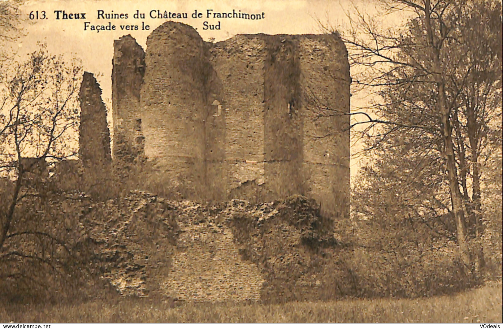 Belgique - Liège - Theux - Ruines Du Château De Franchimont - Façade Vers Le Sud - Theux