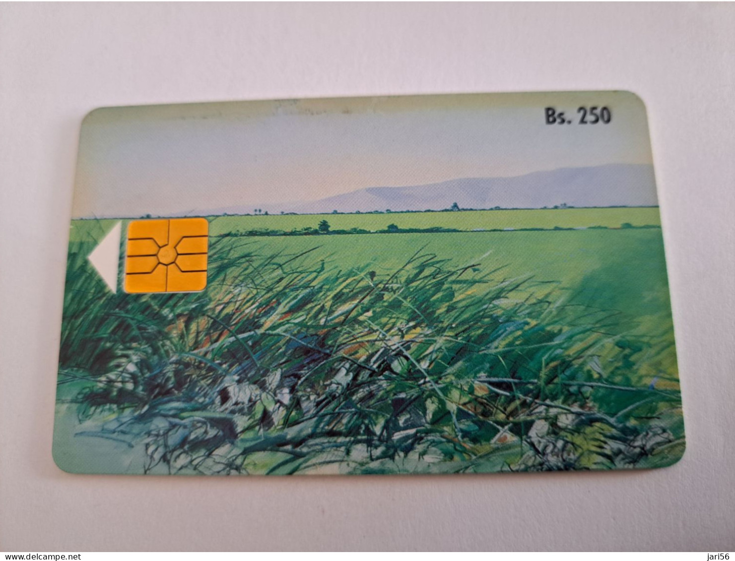 BOLIVIA  BS 250/ GREEN FIELD / CHIPCARD  /  NICE USED CARD     ** 15472** - Bolivia