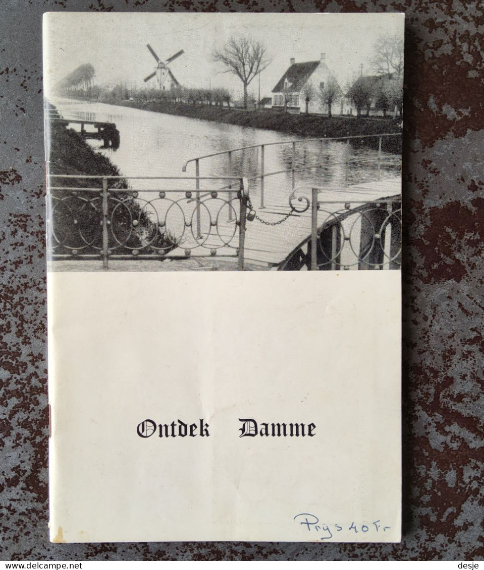 Ontdek Damme, Praktische Gids Door Day En Luc Heyneman, Damme, 52 Blz. - Sachbücher