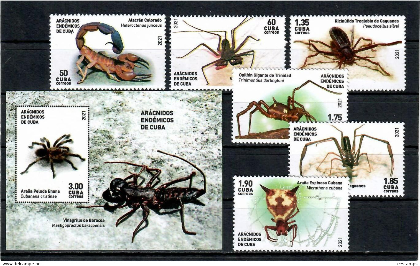 Cuba 2021 . Insects Spiders  Arachnids . 6v. + S/S - Unused Stamps