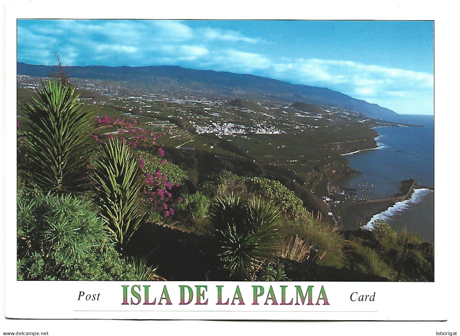 PANORAMICA.- EL VALLE DE ARIDANE.-  ISLA DE LA PALMA / ISLAS CANARIAS.- ( ESPAÑA ) - La Palma