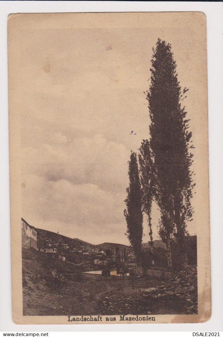 View From Macedonia Postcard Ww1-1917 Bulgaria Bulgarian Military Censorship СКОПИЕ, SKOPIE, SKOPJE (66515) - Guerre