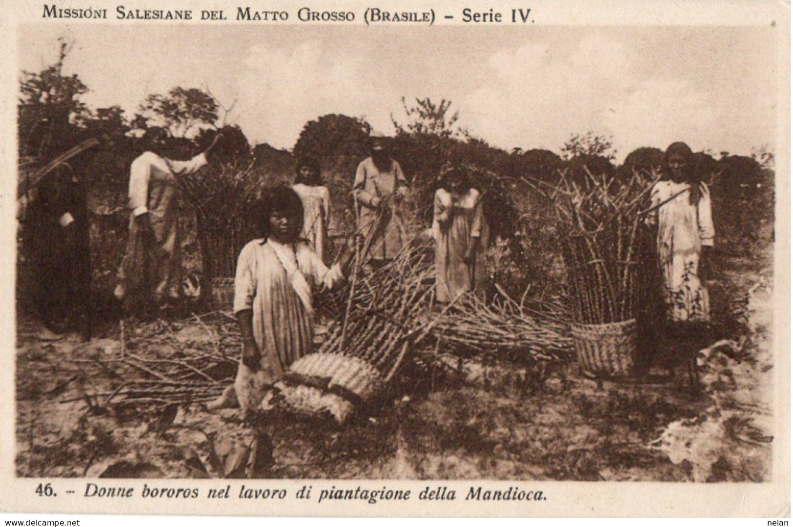 MISSIONI SALESIANE MATTO GROSSO - BRASILE - DONNE BOROROS NEL LAVORO DI PIANTAGIONE DELLA MANDIOCA - Cuiabá