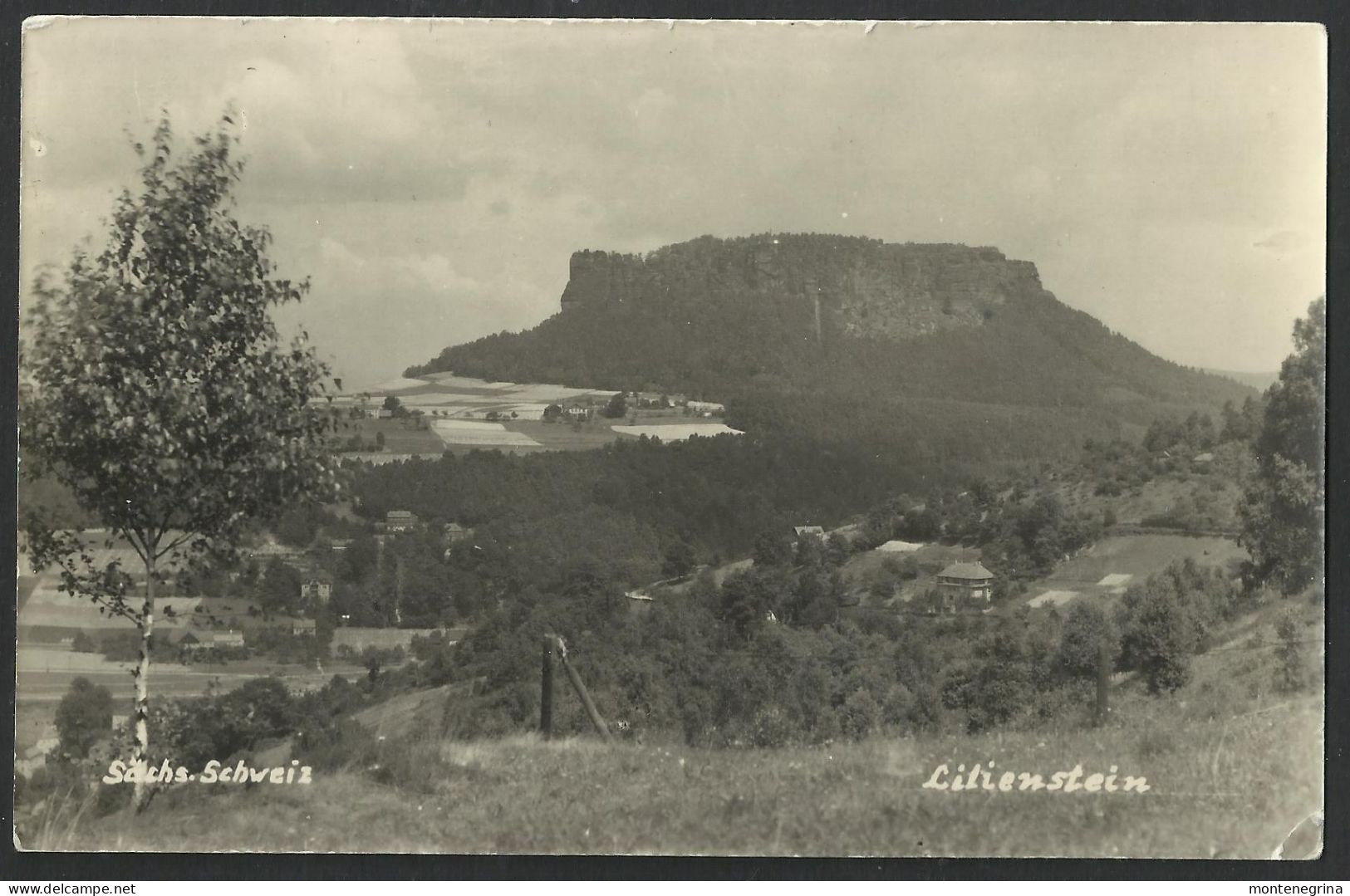 Sachs. Schweiz Lilienstein - Ed. H. Fritzel - Old Postcard(see Sales Conditions) 08975 - Lichtenstein