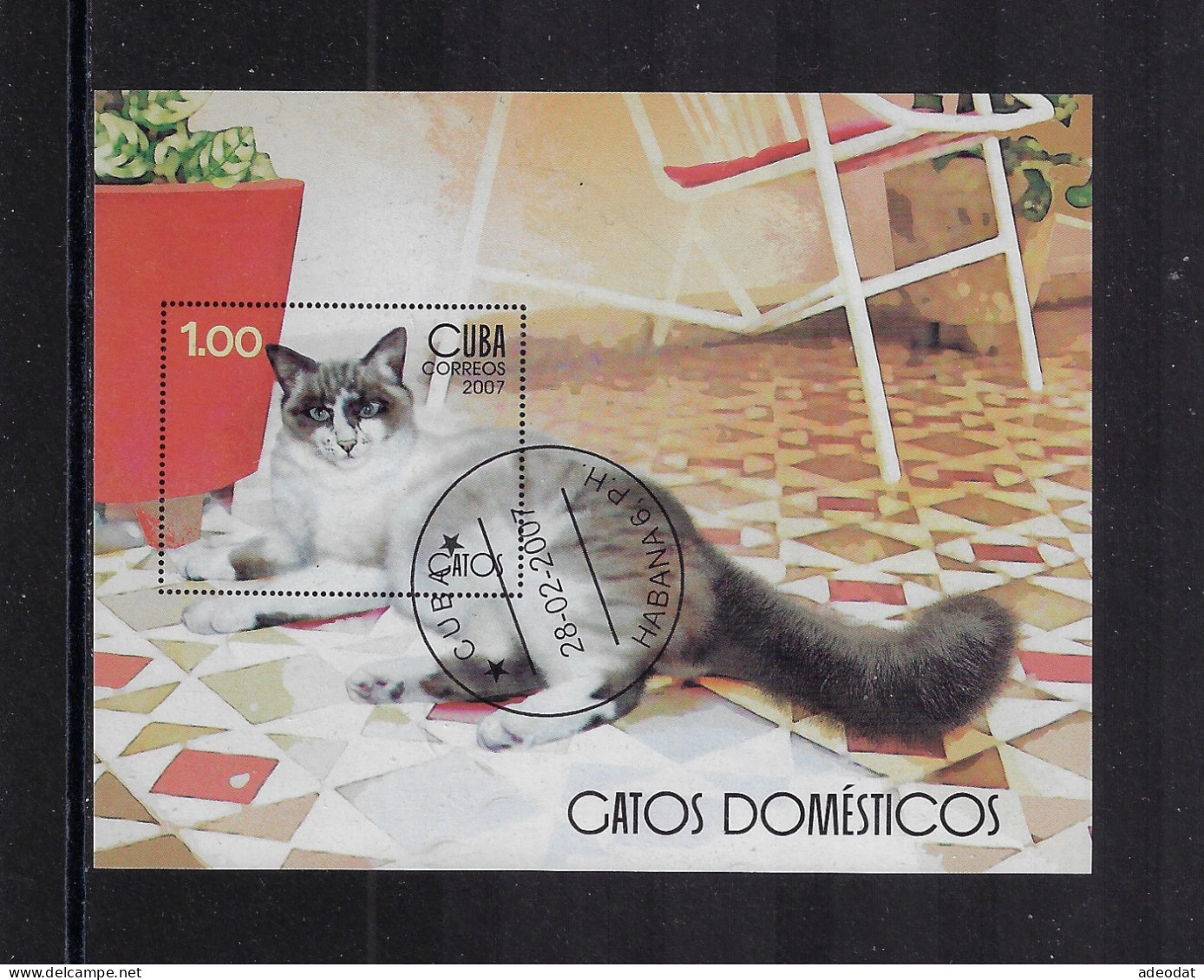 CUBA 2007 CATS SCOTT 4679 CANCELLED - Used Stamps