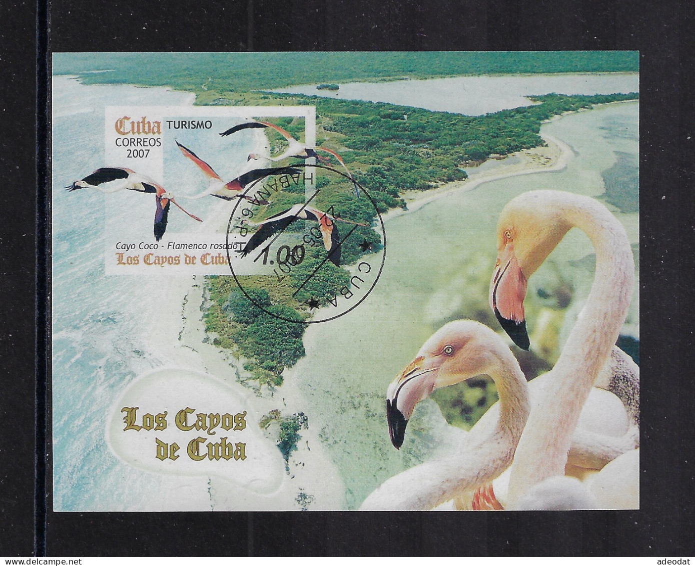 CUBA 2007 CAYO COCO, FLAMINGO SCOTT 4709 CANCELLED - Used Stamps