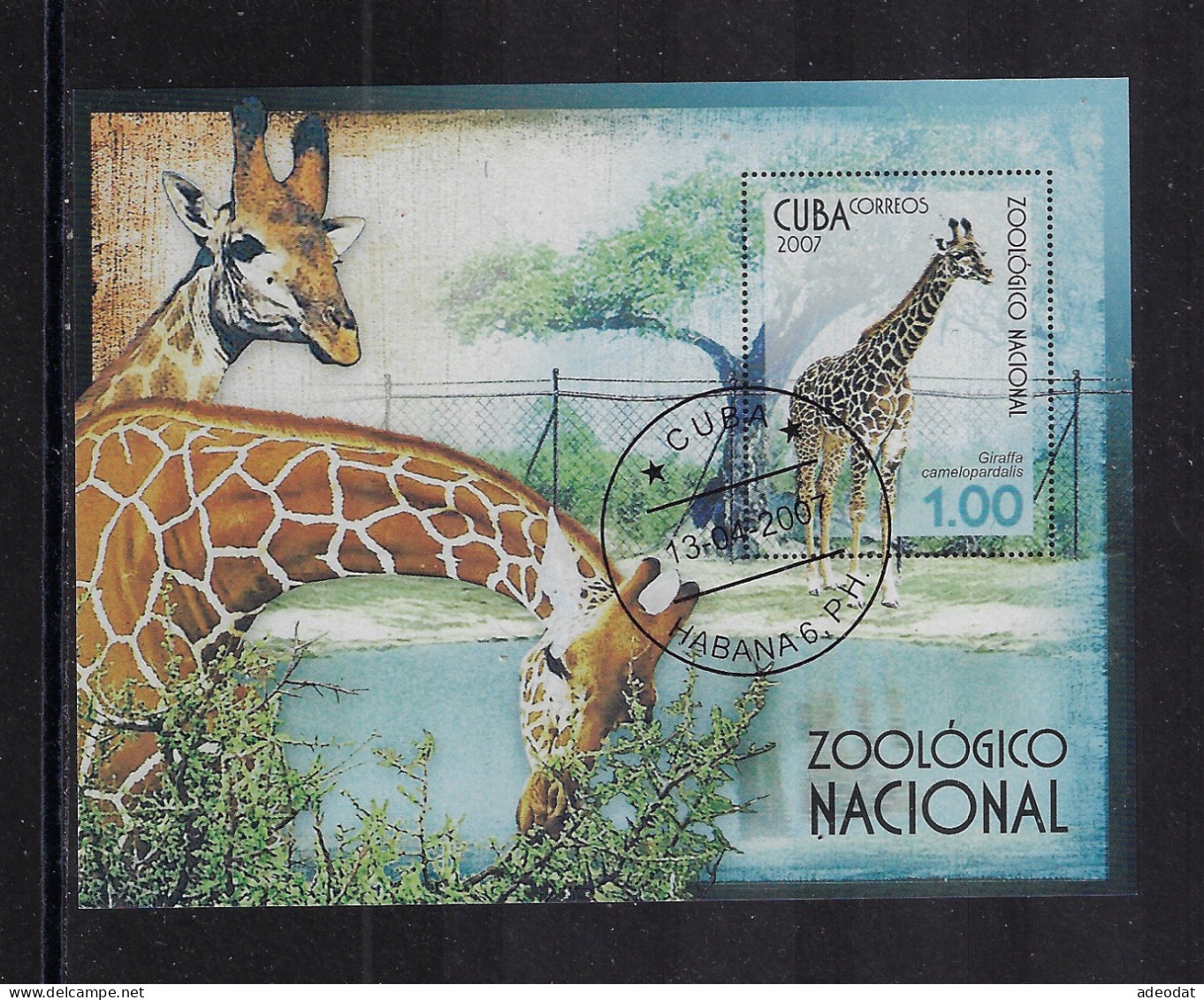 CUBA 2007 NATIONAL ZOO SCOTT 4688 CANCELLED - Gebraucht