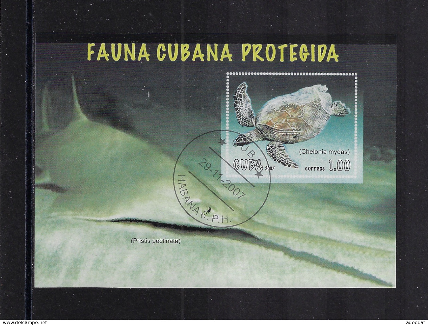 CUBA 2007 PROTECTED ANIMALS SCOTT 4769 CANCELLED - Used Stamps