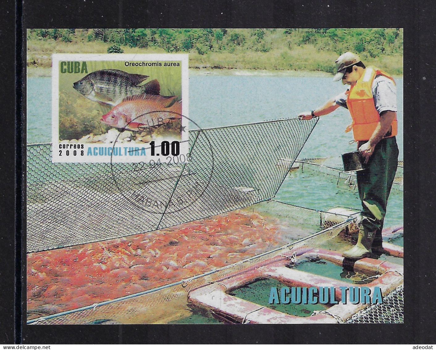 CUBA 2008 MINI SHEET FISH FARMING STAMP WORLD 5070 CANCELLED - Gebraucht