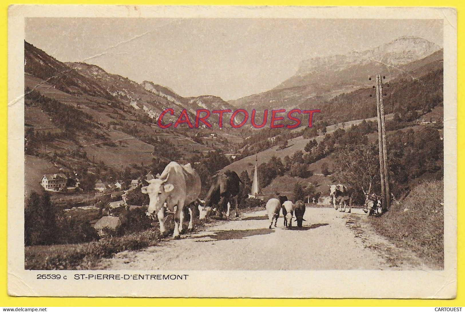 CPA SAINT-PIERRE D'ENTREMONT Vaches Moutons - Saint-Pierre-d'Entremont