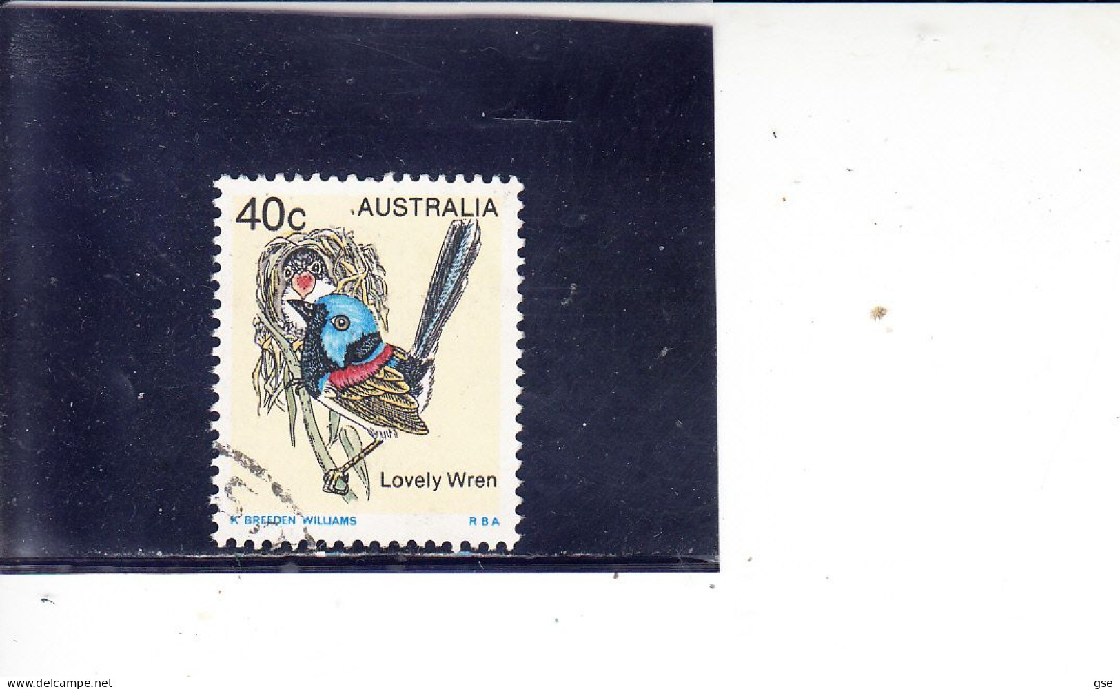 AUSTRALIA -  Uccelli - Segler & Kolibris