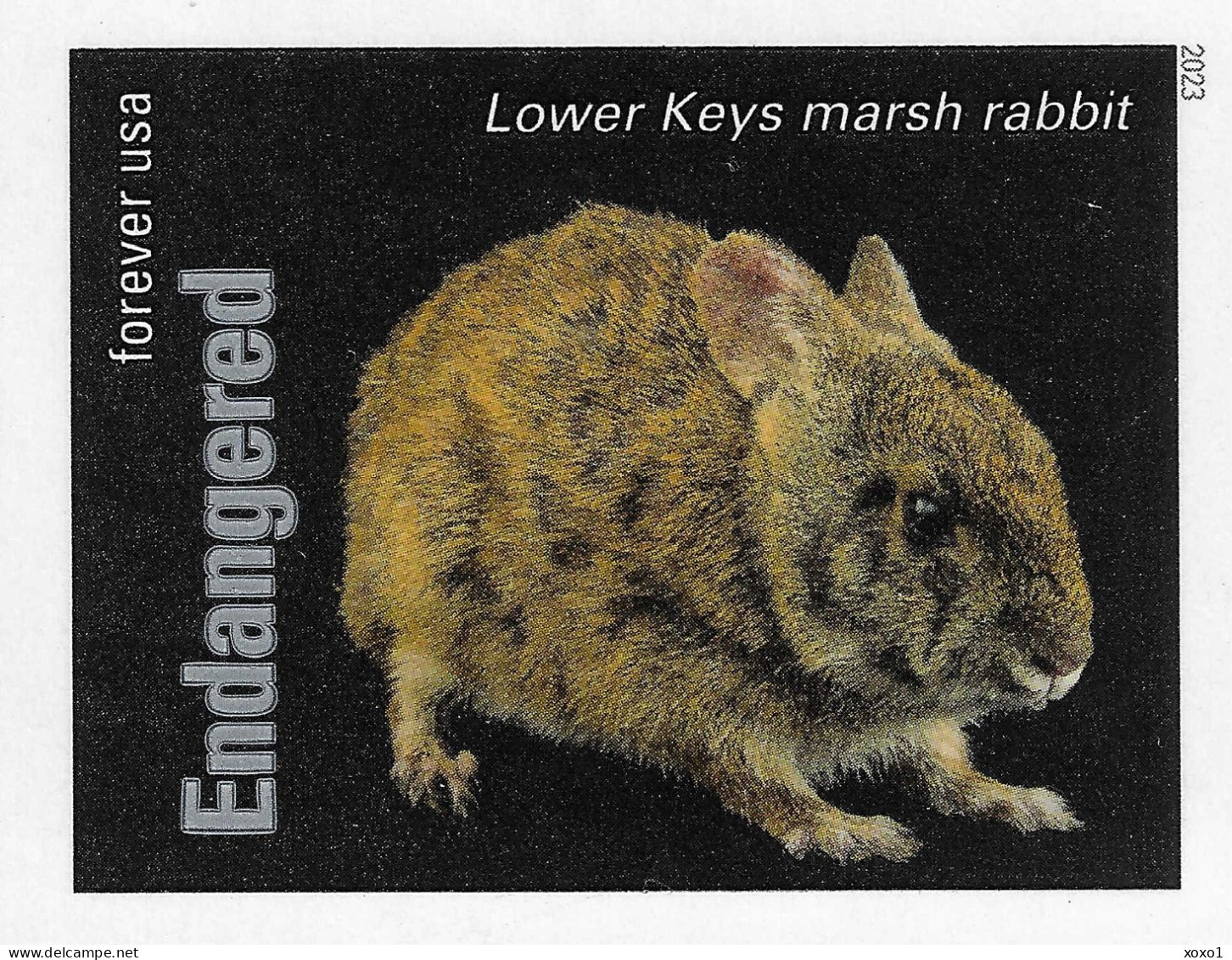 USA 2023 MiNr. 6060bb Without Die-cuts ND Endangered Species Mammals Lower Keys Marsh Rabbit  1v MNH ** 2.50 € - Lapins