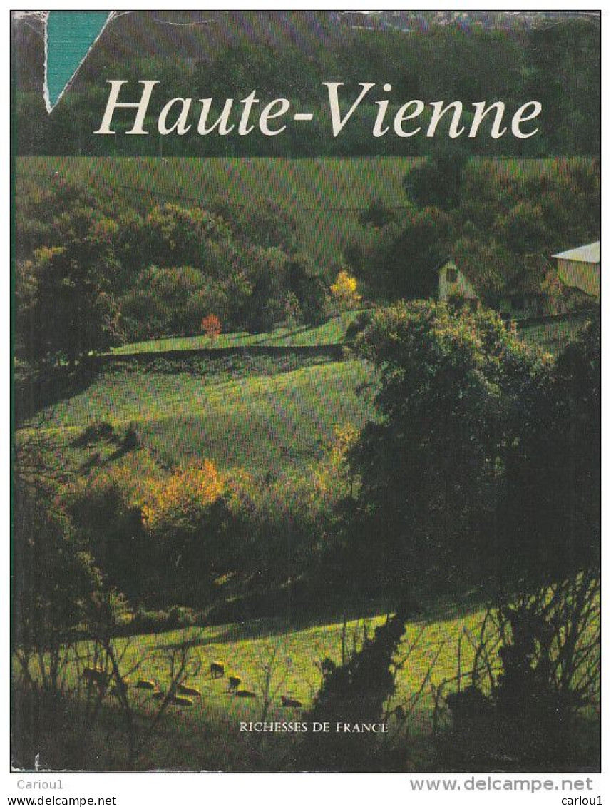 C1 Kiener HAUTE VIENNE Grand Format RELIE ILLUSTRE Delmas Conseil General 1985 - Limousin