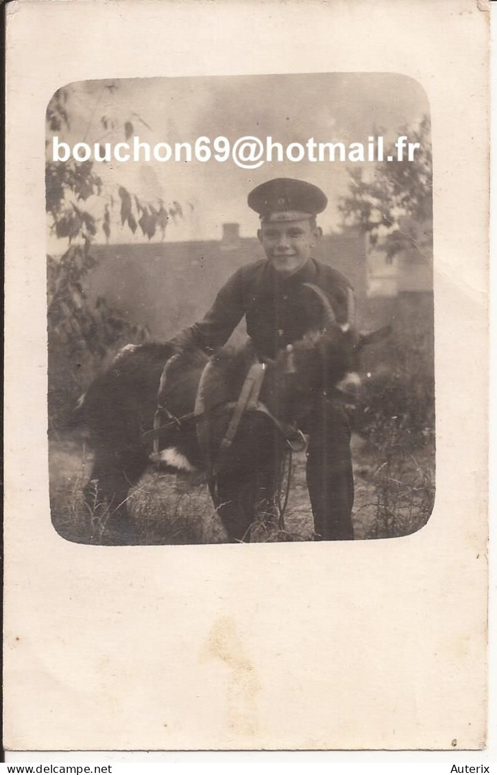 Armée Militaria Soldats Armée - Allemagne - Jeune Soldat Allemand Et Chèvre Carte Photo Goat - Personnages