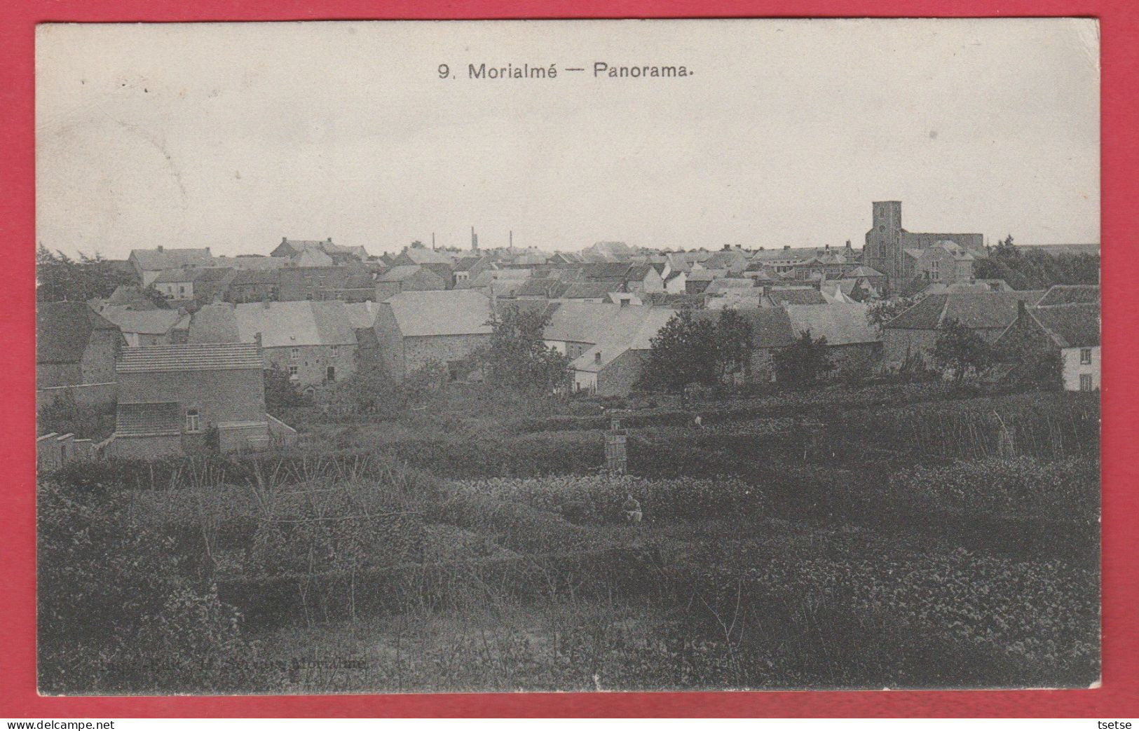 Morialmé - Panorama ... De La Localité - 190? ( Voir Verso ) - Florennes