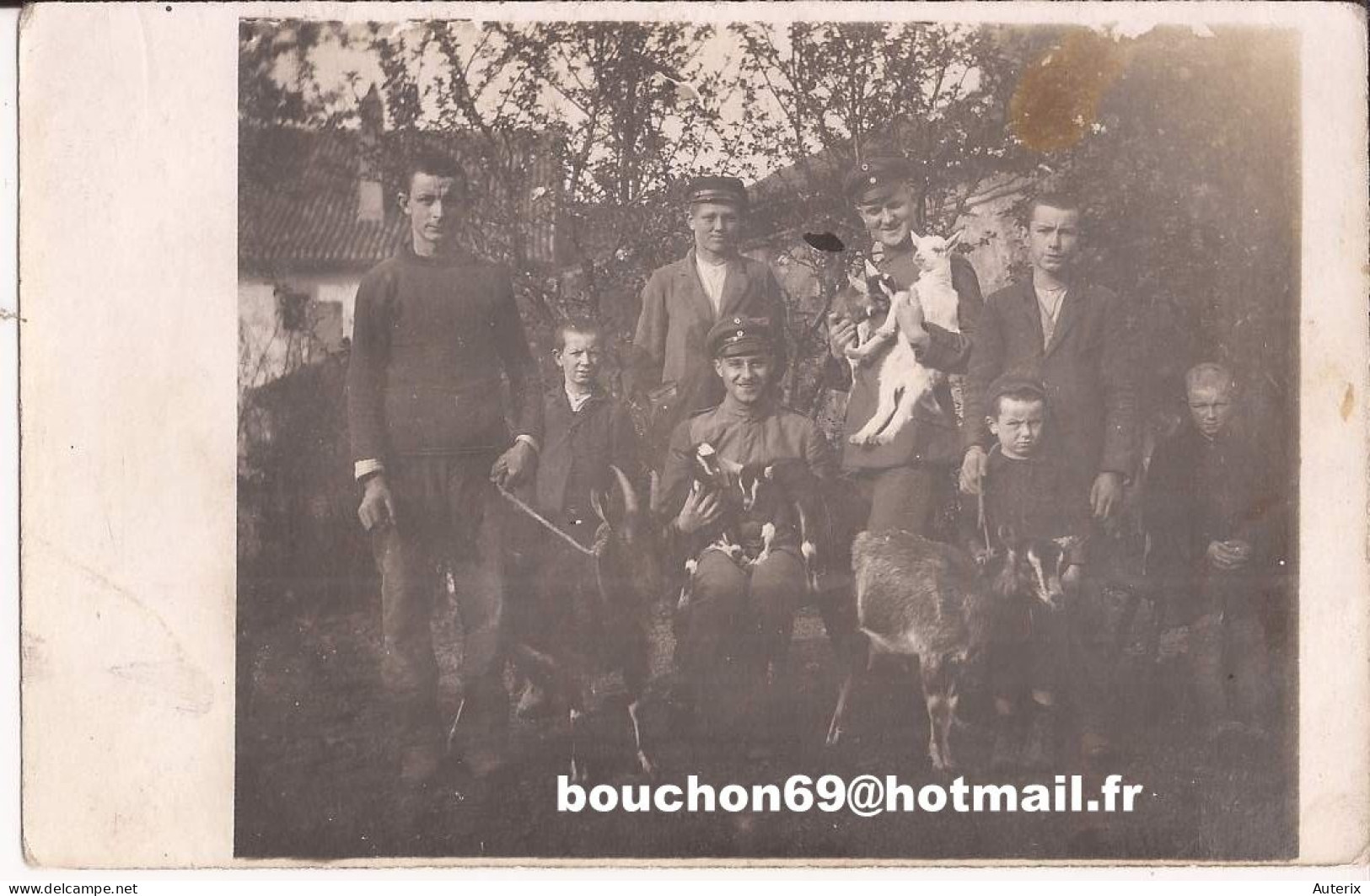 Armée Militaria Soldats Armée - Allemagne - Soldats Et Civils Avec Chèvres Carte Photo Goat - Personnages