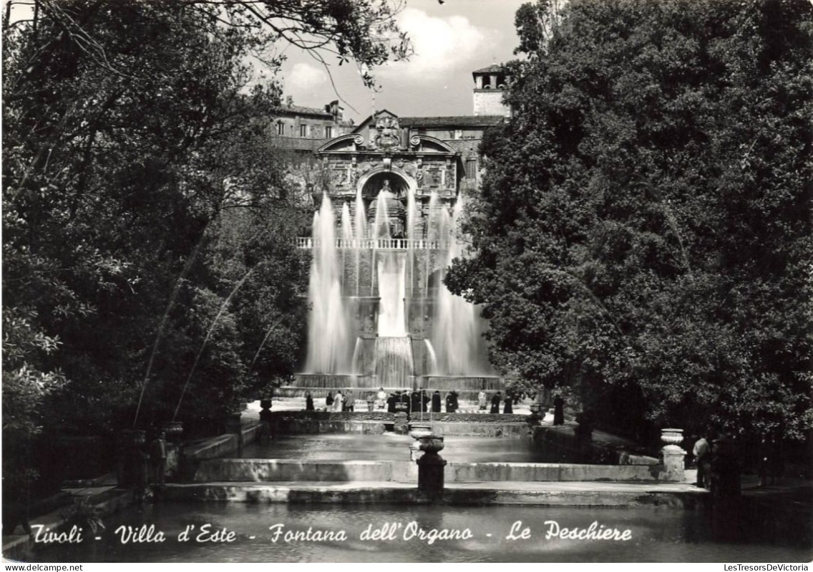 ITALIE - Tivoli - Villa D'Este - Fontaine  De L'Orgue - Les Bassins - Carte Postale Ancienne - Tivoli