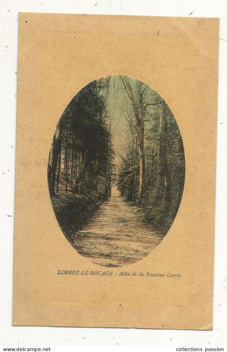 Cp, 77, LORREZ LE BOCAGE, Allée De La Fontaine Carrée, écrite - Lorrez Le Bocage Preaux