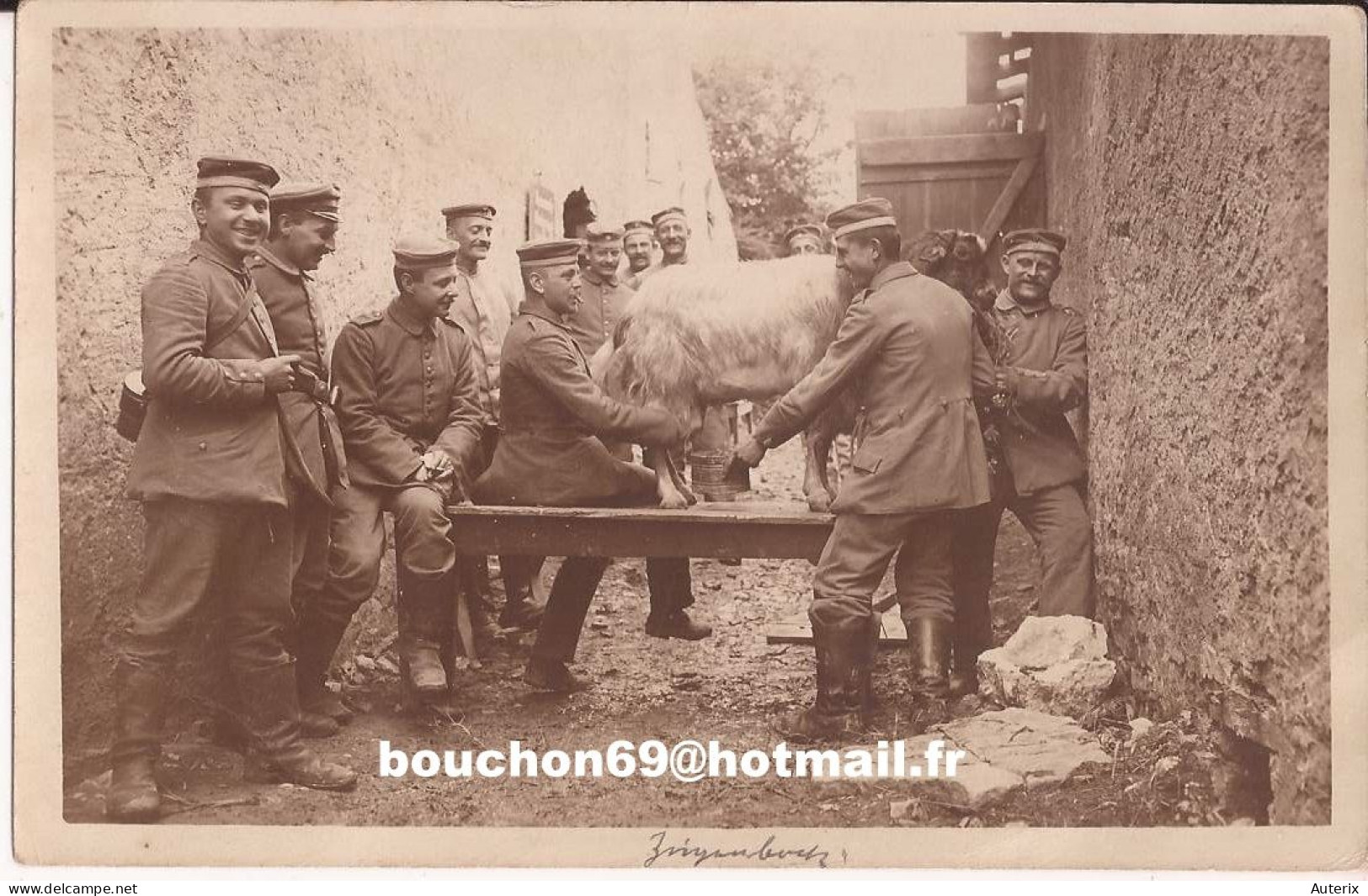 Armée Militaria SoldatsArmée - Allemagne - Ziegenbock - Soldats Carte Photo Goat - Personen