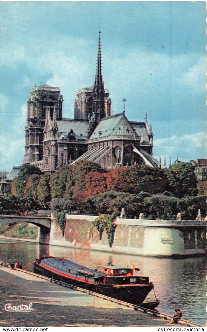 FRANCE - Paris - Notre-Dame - Colorisé - Carte Postale - Notre-Dame De Paris