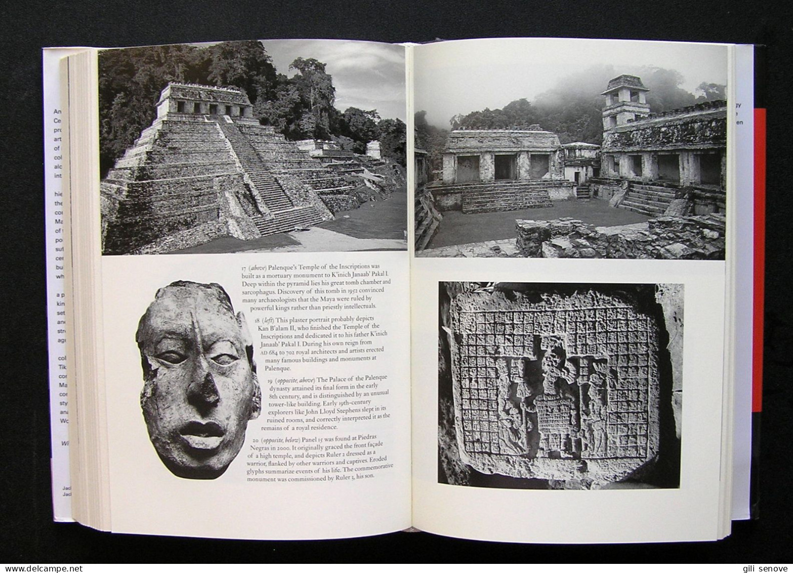 The Fall of the Ancient Maya: Solving the Mystery of the Maya Collapse 2002