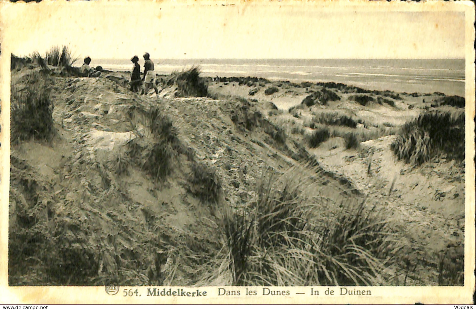 Belgique - Flandre Occidentale - Middelkerke - Dans Les Dunes - In De Duinen - Middelkerke