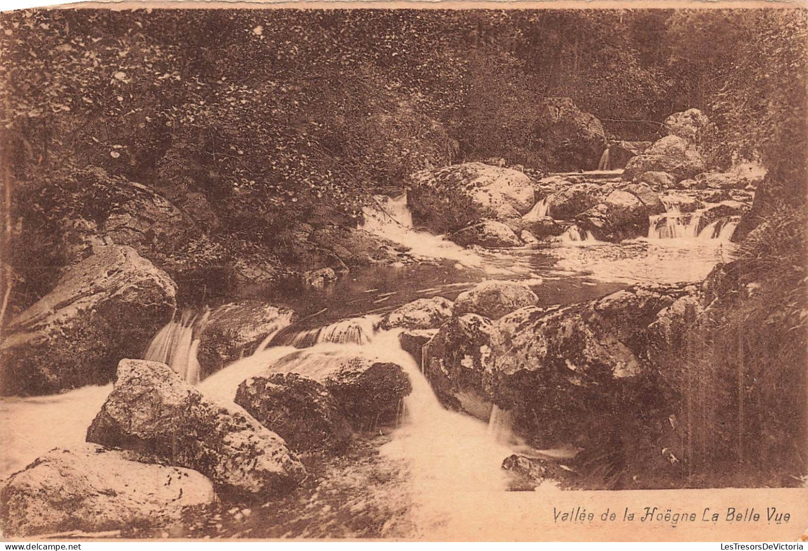BELGIQUE - Liège -  Waimes - Weismes - Vallée De La Hoëgne - La Belle Vue - Carte Postale Ancienne - Waimes - Weismes