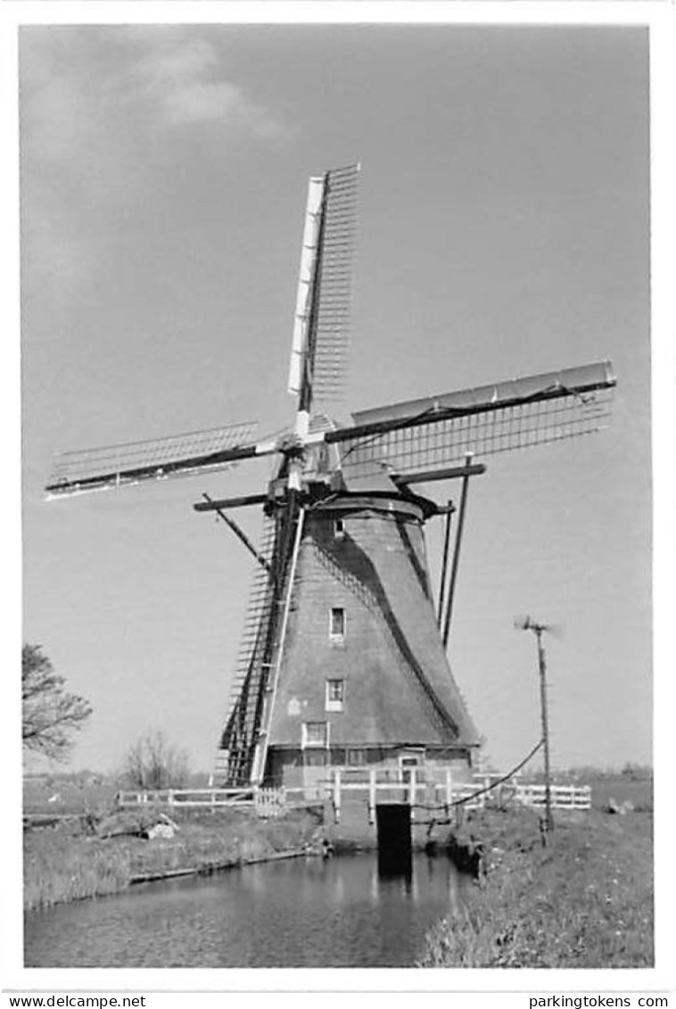 E665 - Alphen A/d Rijn - Foto Ong 9x13cm - Molen - Moulin - Mill - Mühle - Alphen A/d Rijn