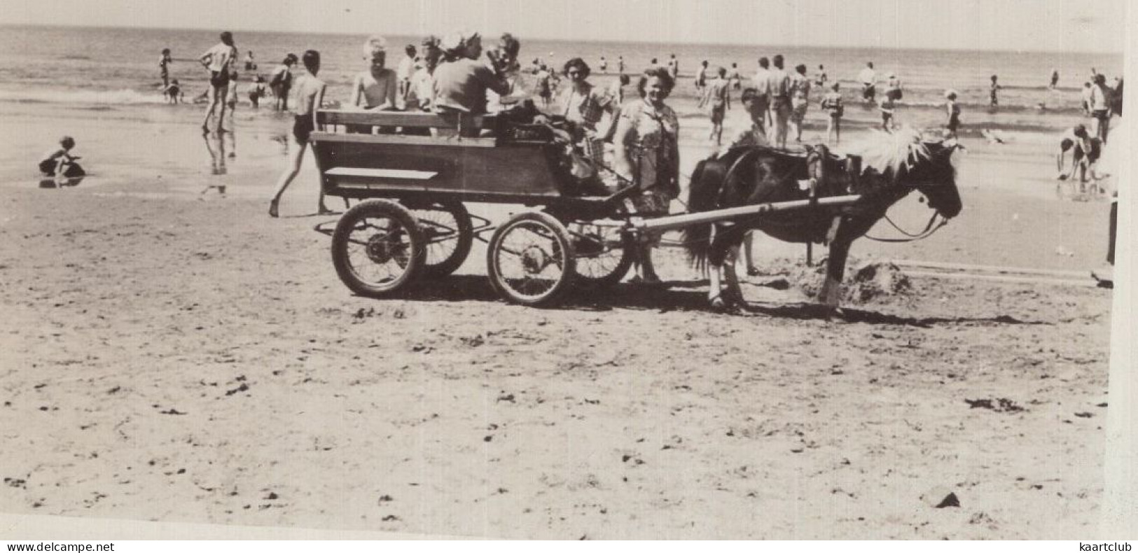 Groeten Uit Hoek Van Holland - (Zuid-Holland, Nederland) - 1959 - Pony-kar - Hoek Van Holland