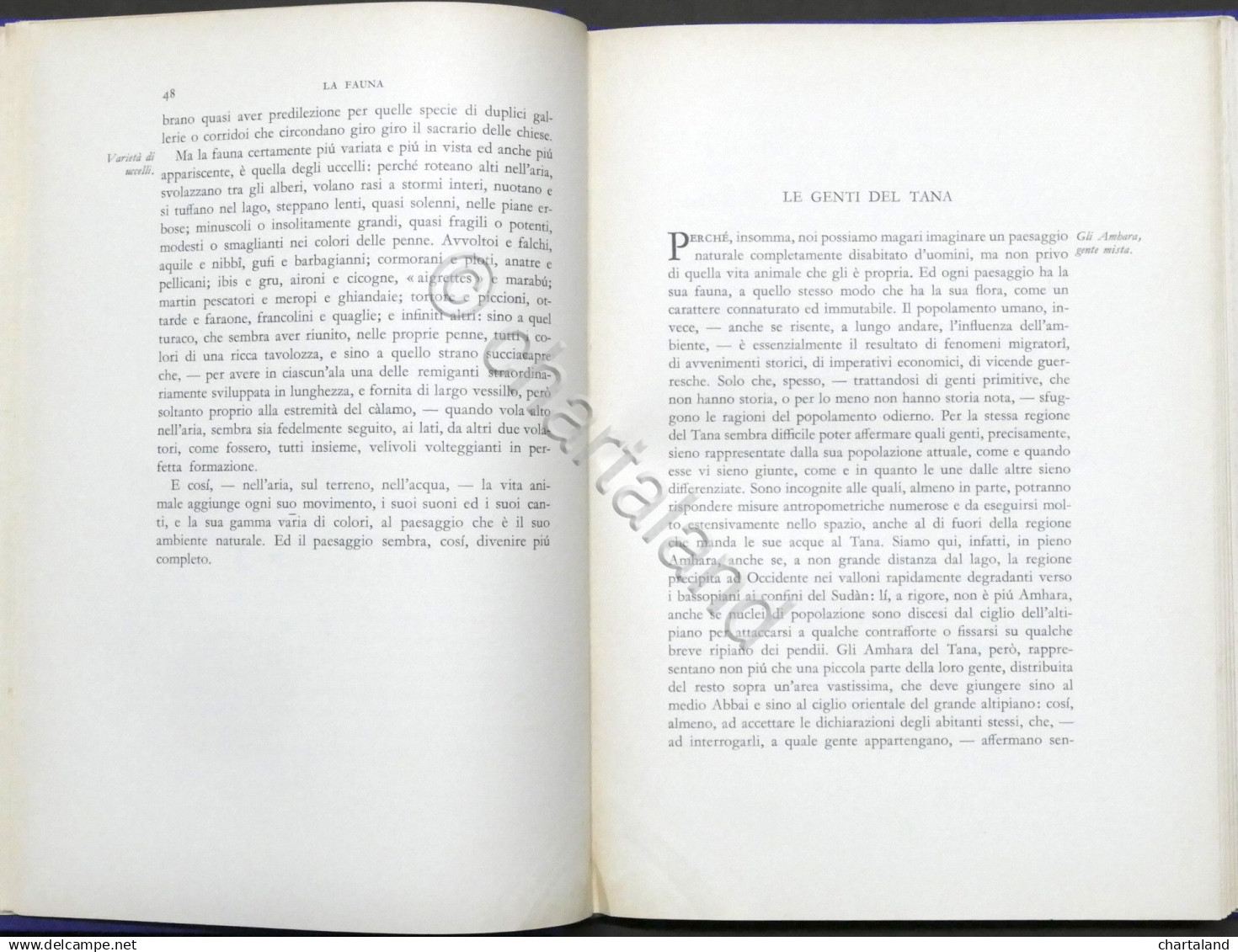 Colonialismo Etiopia - G. Dainelli - La Regione Del Lago Tana - 1^ Ed. 1939 - Altri & Non Classificati