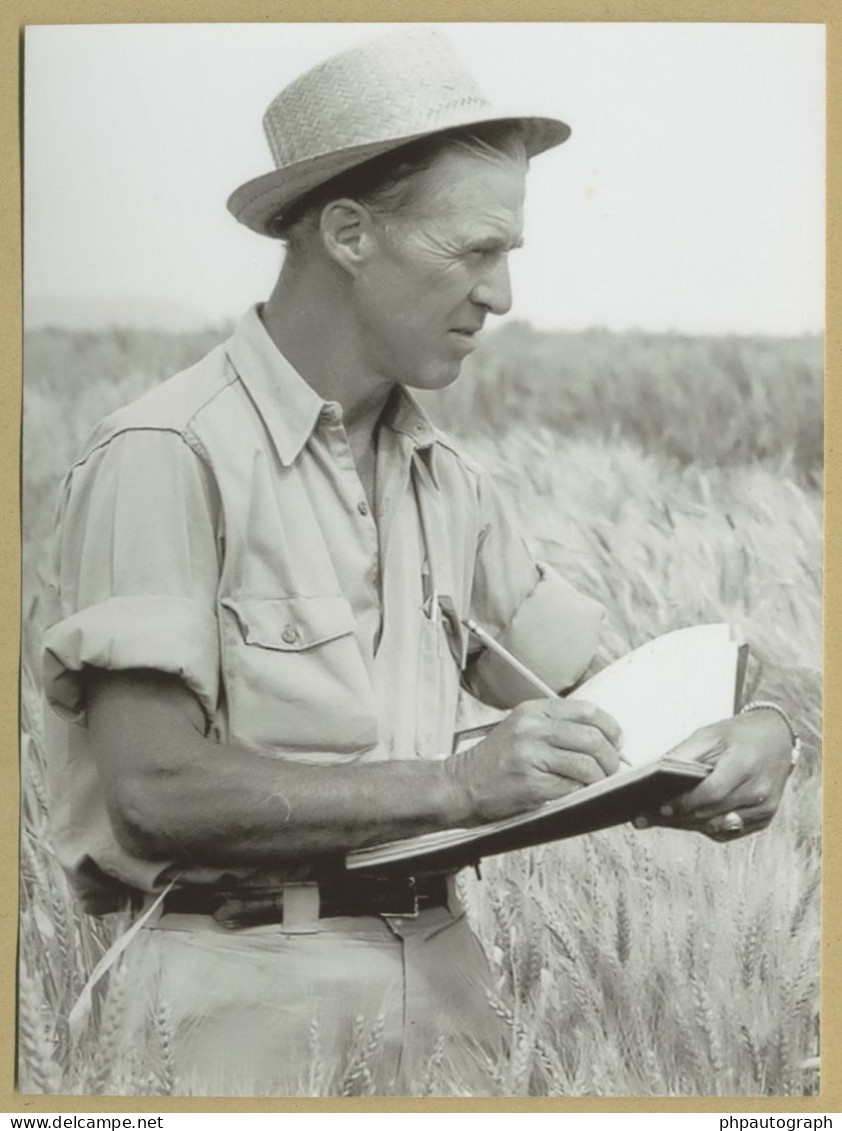 Norman Borlaug (1914-2009) - Agronomist - Signed Business Card + Photo - Nobel - Uitvinders En Wetenschappers