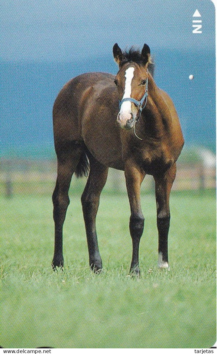 TARJETA DE JAPON DE UN CABALLO (CABALLO-HORSE) - Paarden