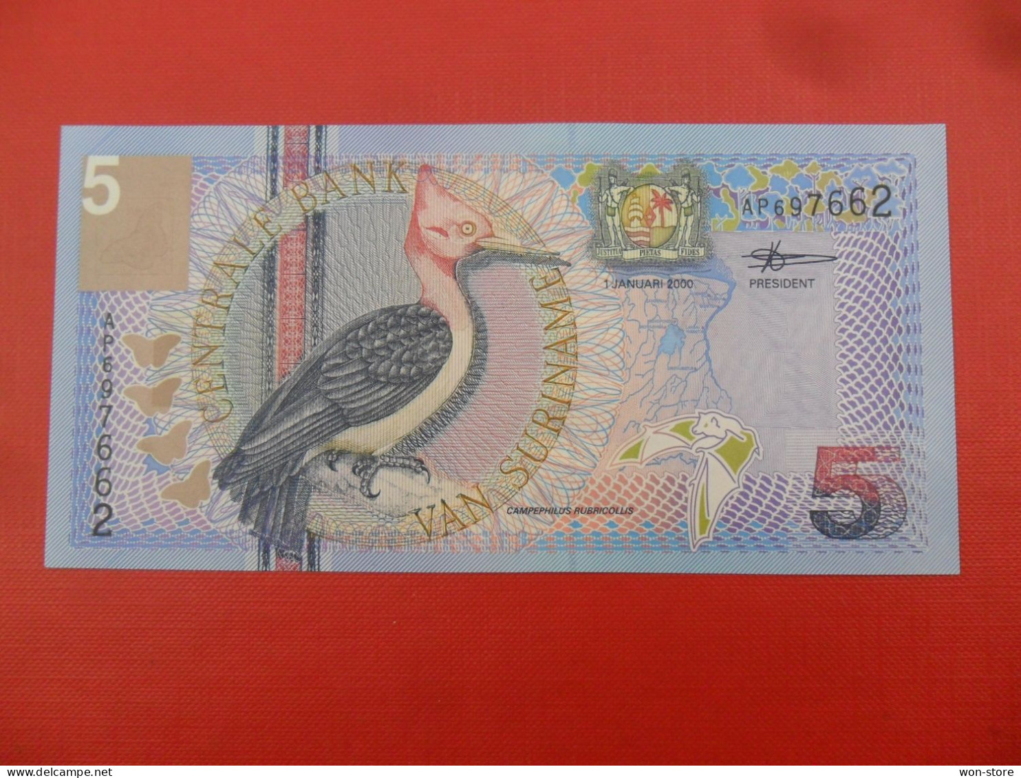 7825 - Suriname 5 Gulden 2000/2003 - P-146 - Suriname