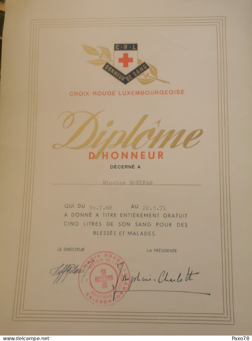 Diplôme Croix Rouge Luxembourgeoise, Signé Par La Grand-Duchesse Josephine Charlotte - Cartas & Documentos