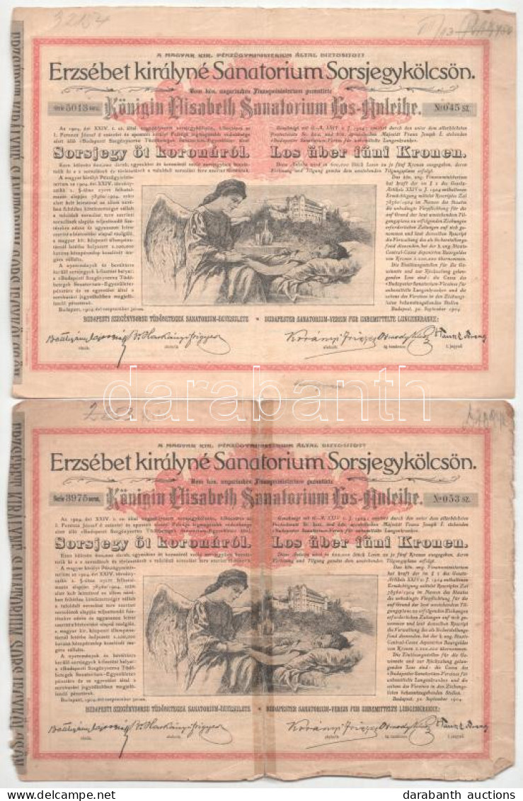 Budapest 1904. "Erzsébet Királyné Sanatorium Sorsjegykölcsön" Sorsjegye 5K értékben, Magyar és Német Nyelven, Szárazpecs - Ohne Zuordnung