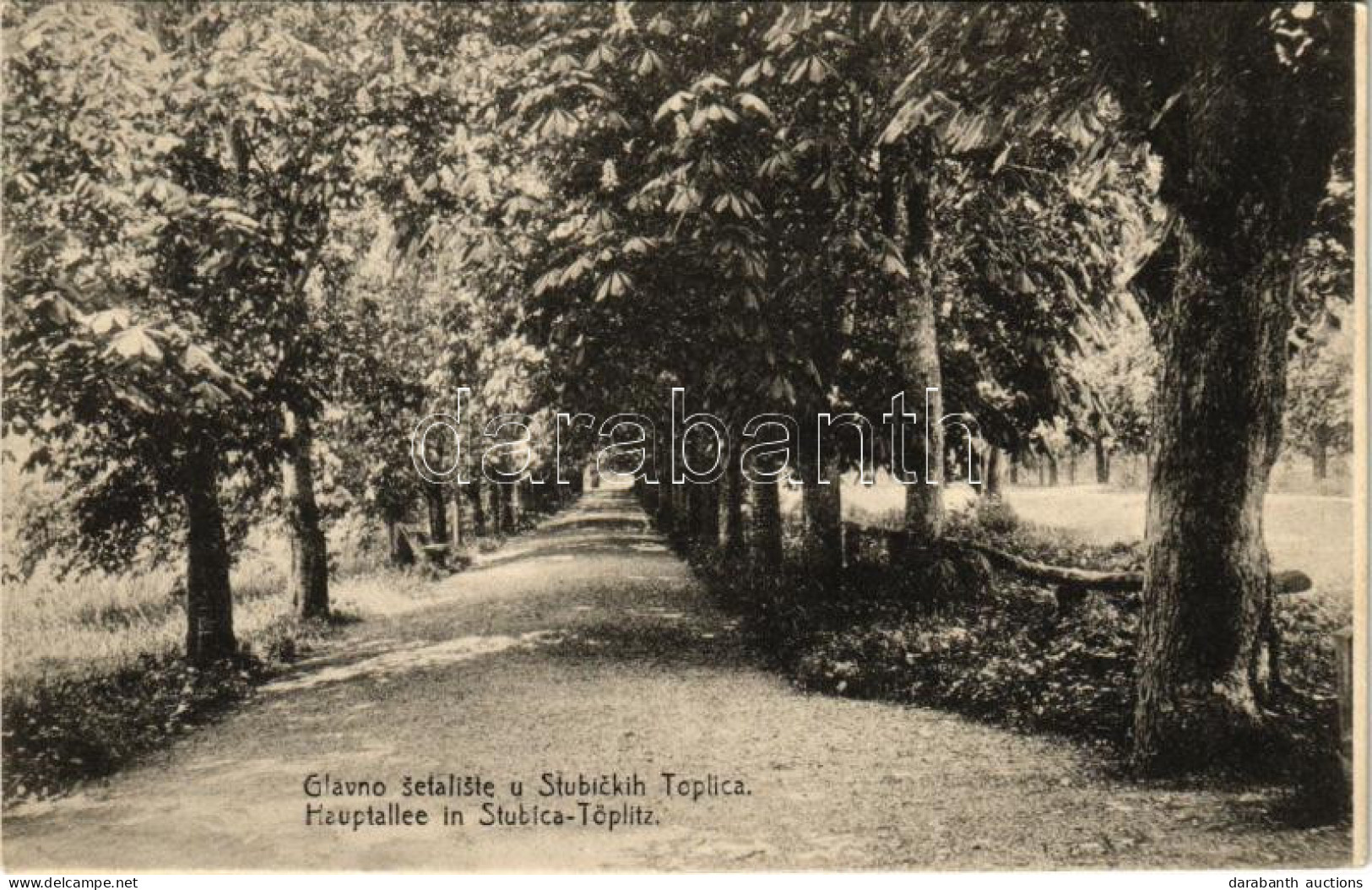 T2 1914 Stubicke Toplice, Stubica-Töplitz; Glavno Setaliste / Hauptallee / Main Promenade - Non Classés